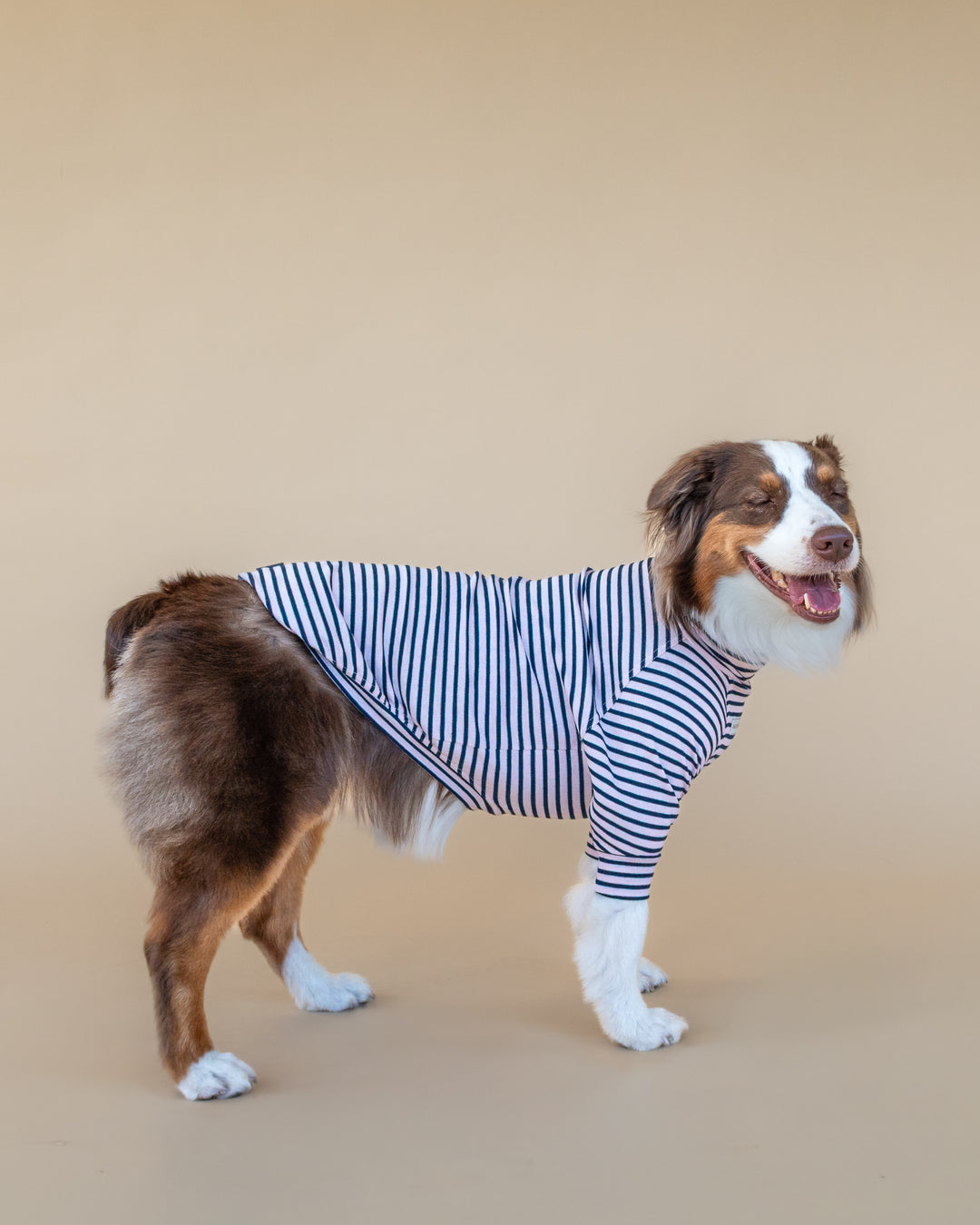Turtleneck Fine Knit | Blush & Navy