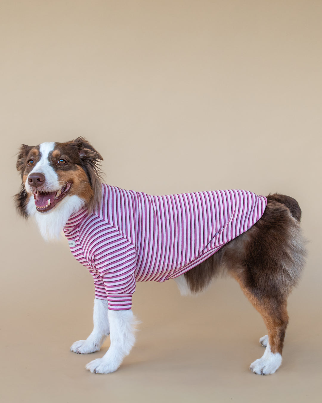 Turtleneck Fine Knit | Peony & Raspberry