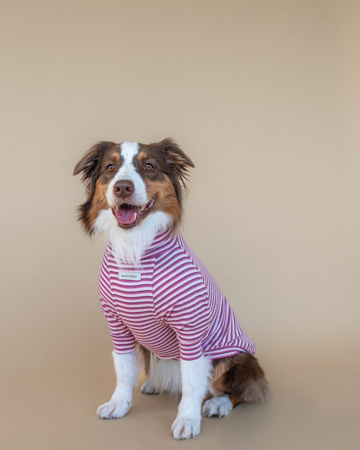 Turtleneck Fine Knit | Peony & Raspberry