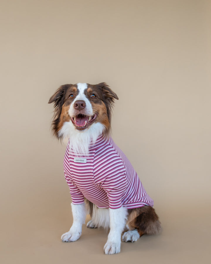 Turtleneck Fine Knit | Peony & Raspberry