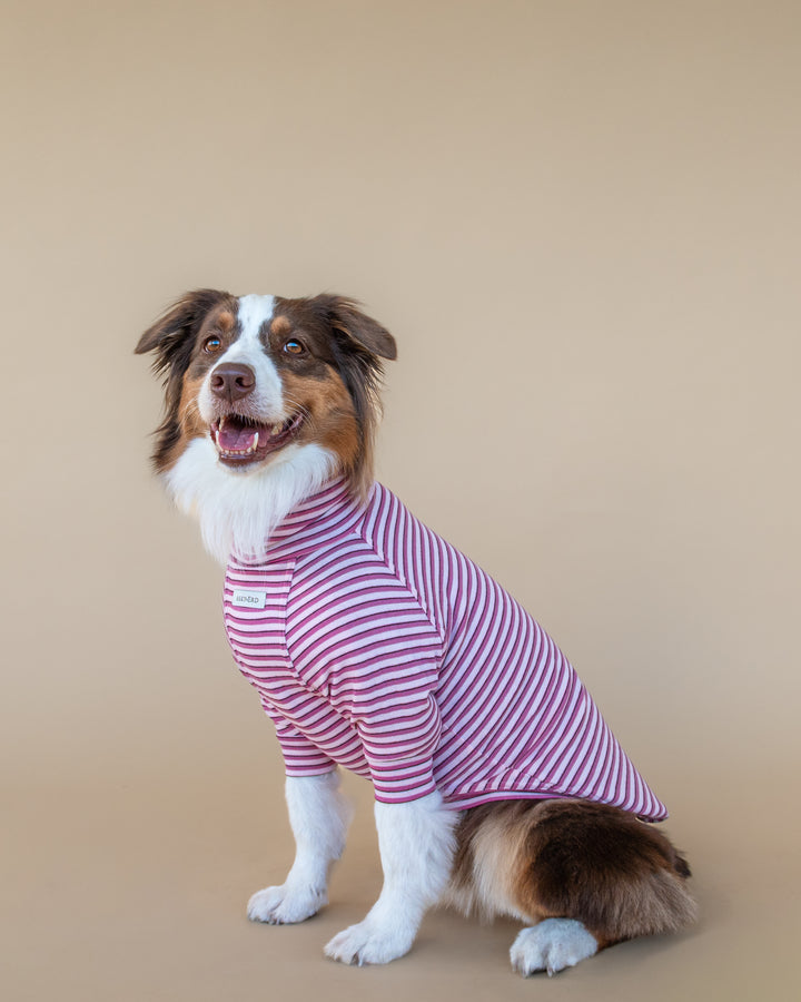 Turtleneck Fine Knit | Peony & Raspberry