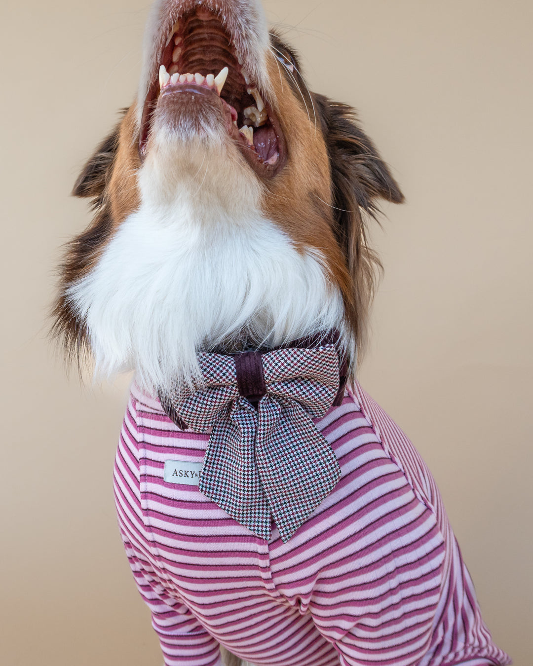 | Ribbon Bow | Bordeaux Houndstooth