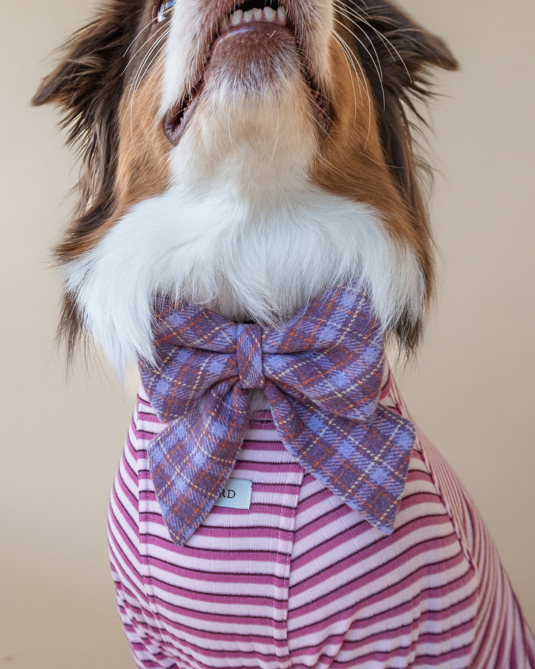 | Ribbon Bow | Lavender Tartan