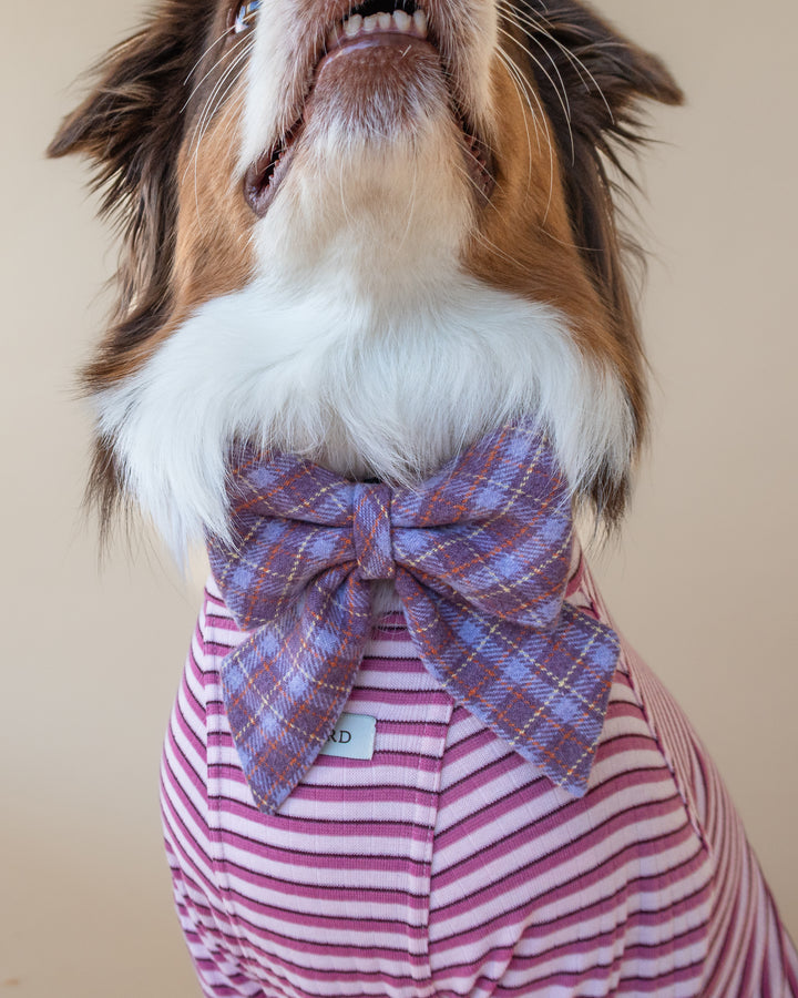 | Ribbon Bow | Lavender Tartan