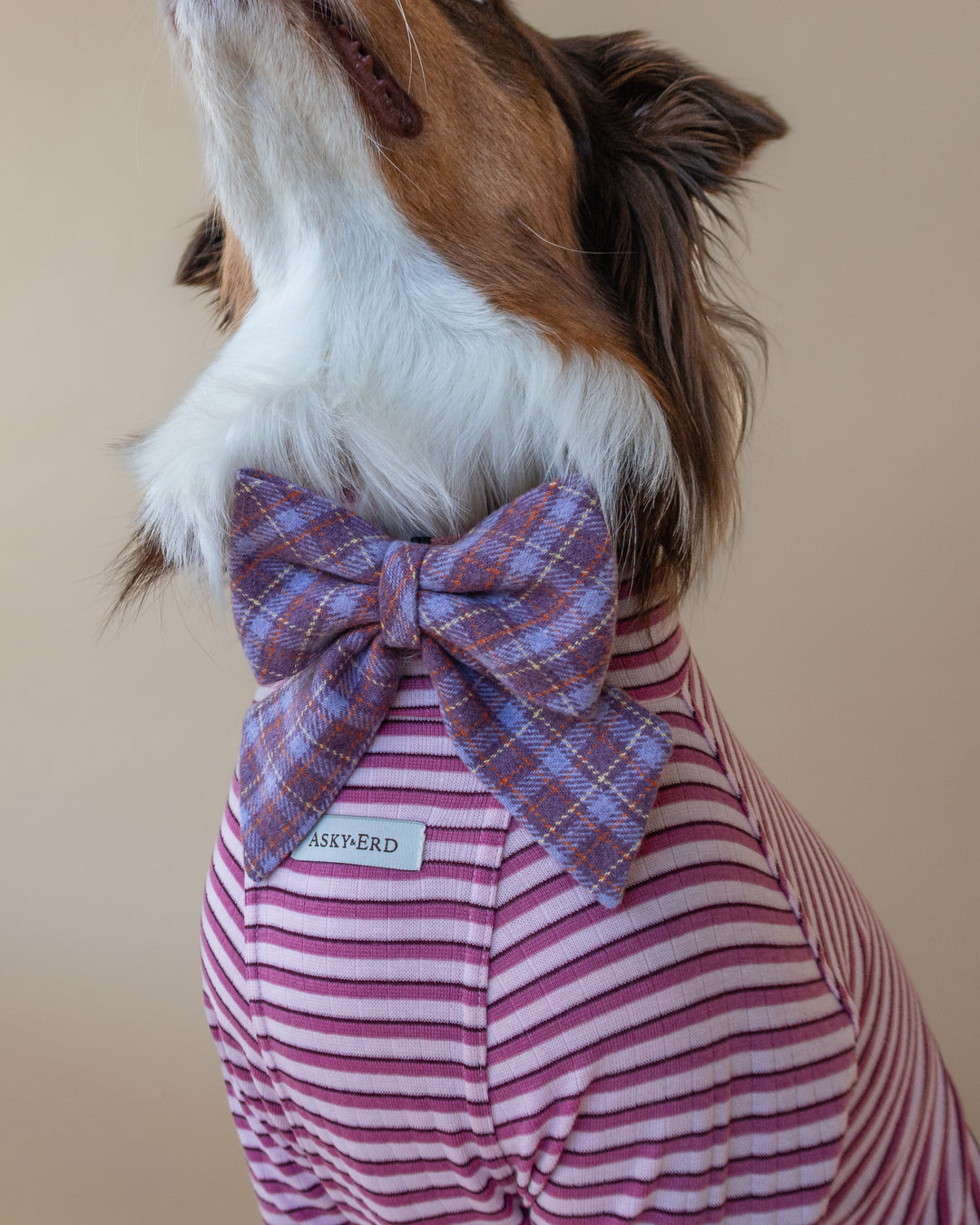 | Ribbon Bow | Lavender Tartan