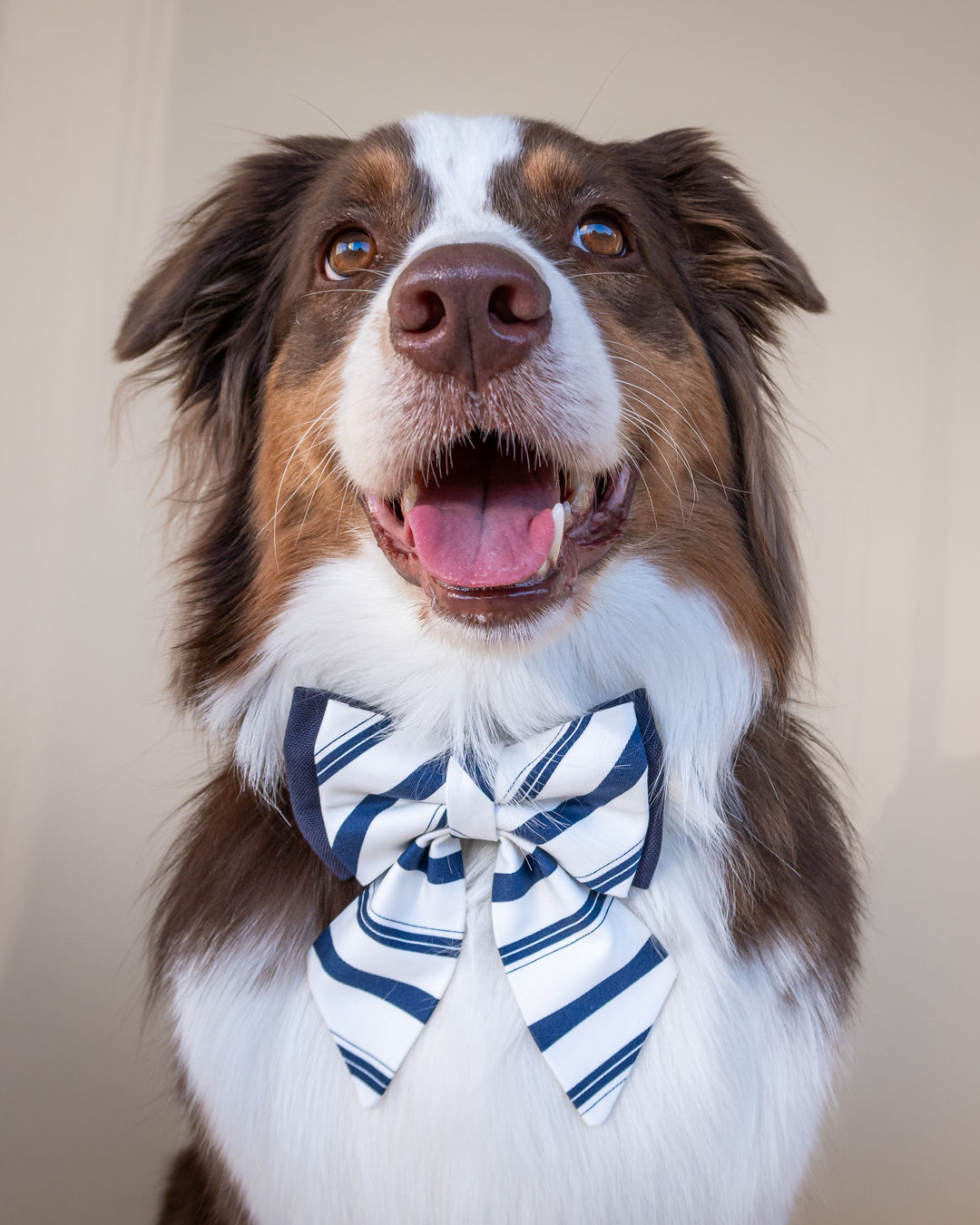 | Ribbon Bow | Riviera Stripe