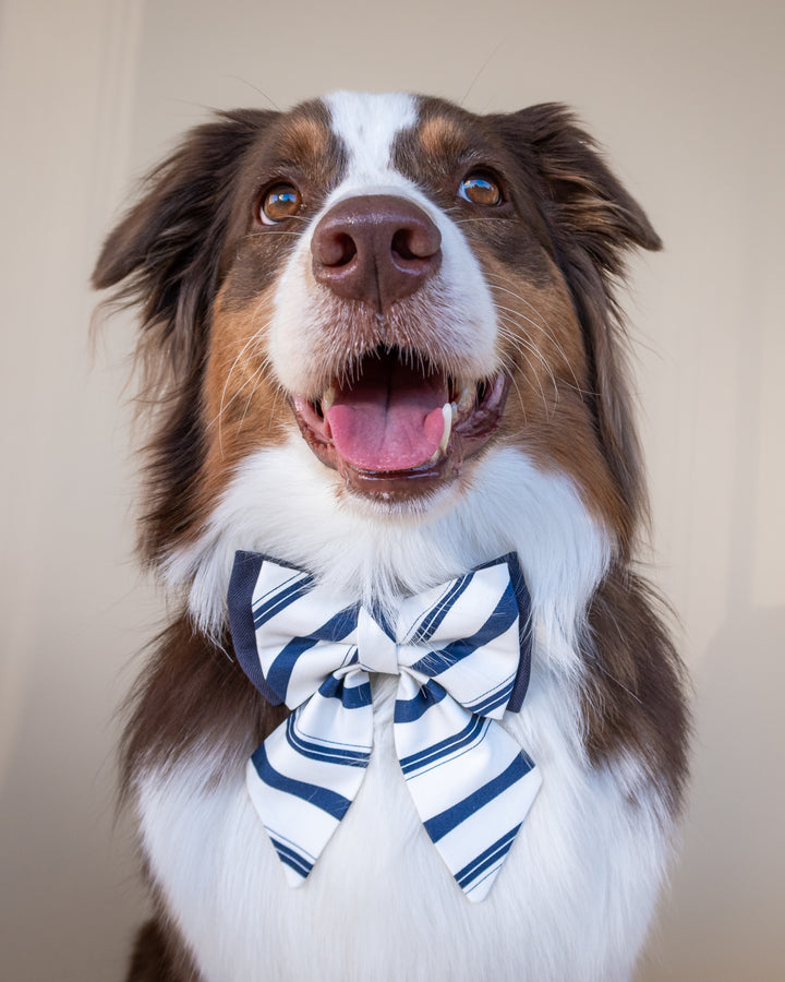 | Ribbon Bow | Riviera Stripe