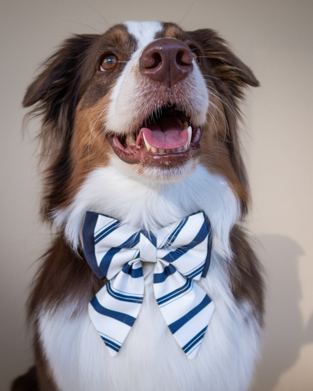 | Ribbon Bow | Riviera Stripe