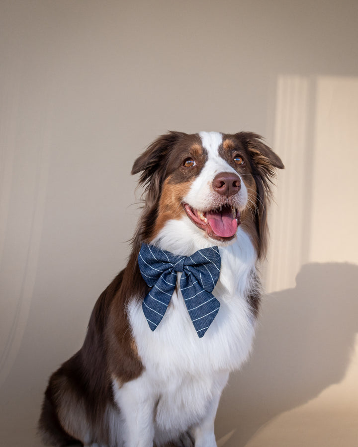 | Ribbon Bow | Navy Pinstripe