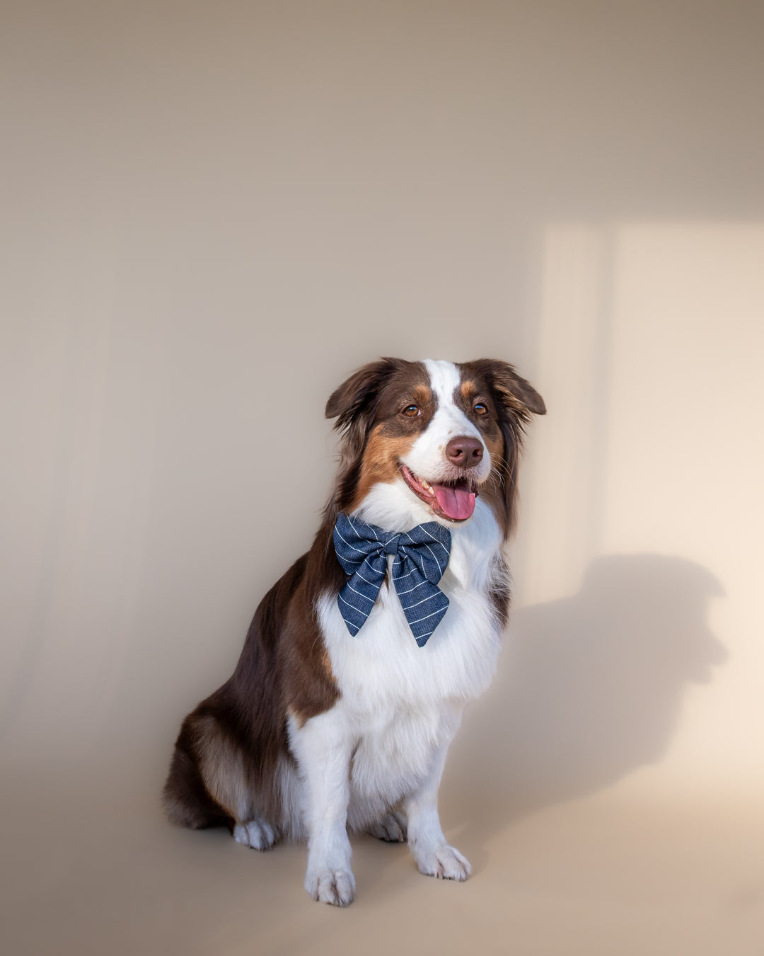 | Ribbon Bow | Navy Pinstripe