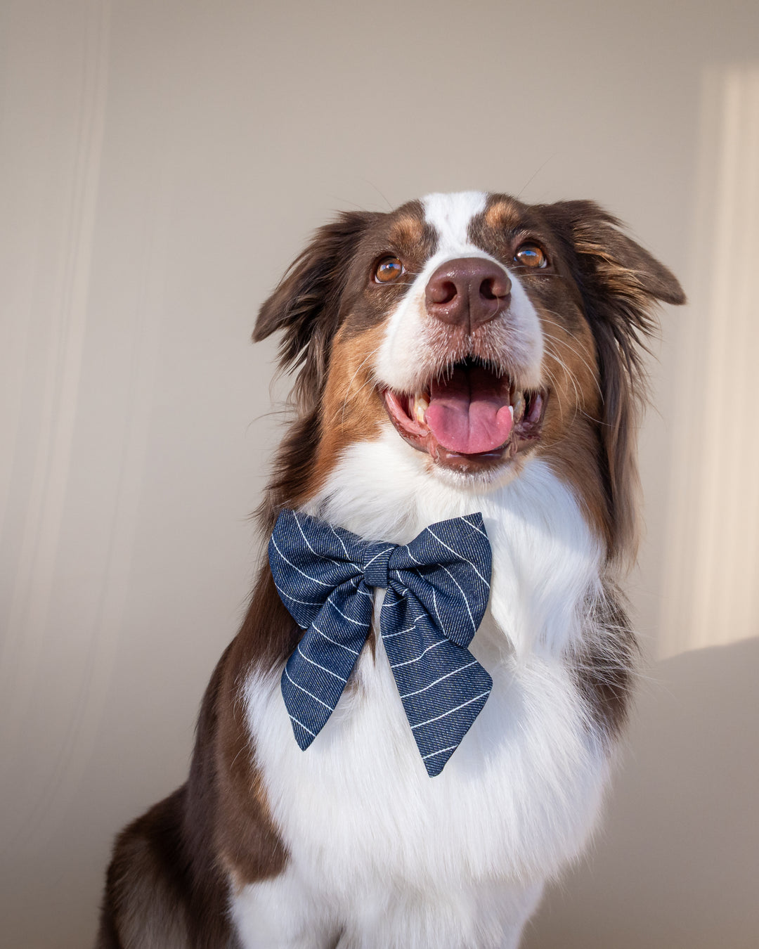 | Ribbon Bow | Navy Pinstripe