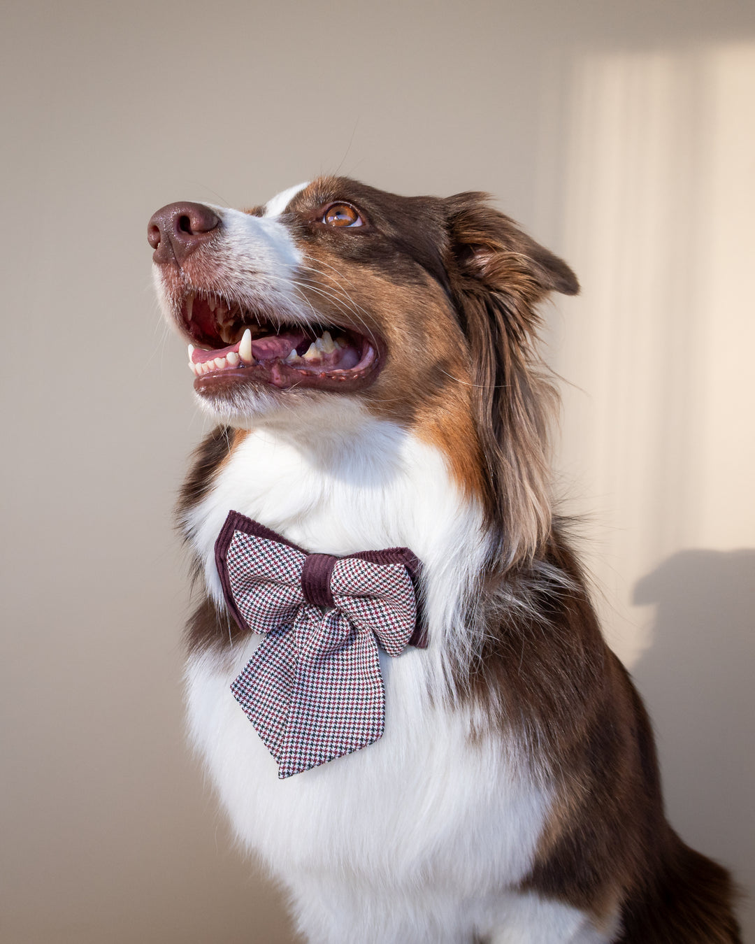 | Ribbon Bow | Bordeaux Houndstooth
