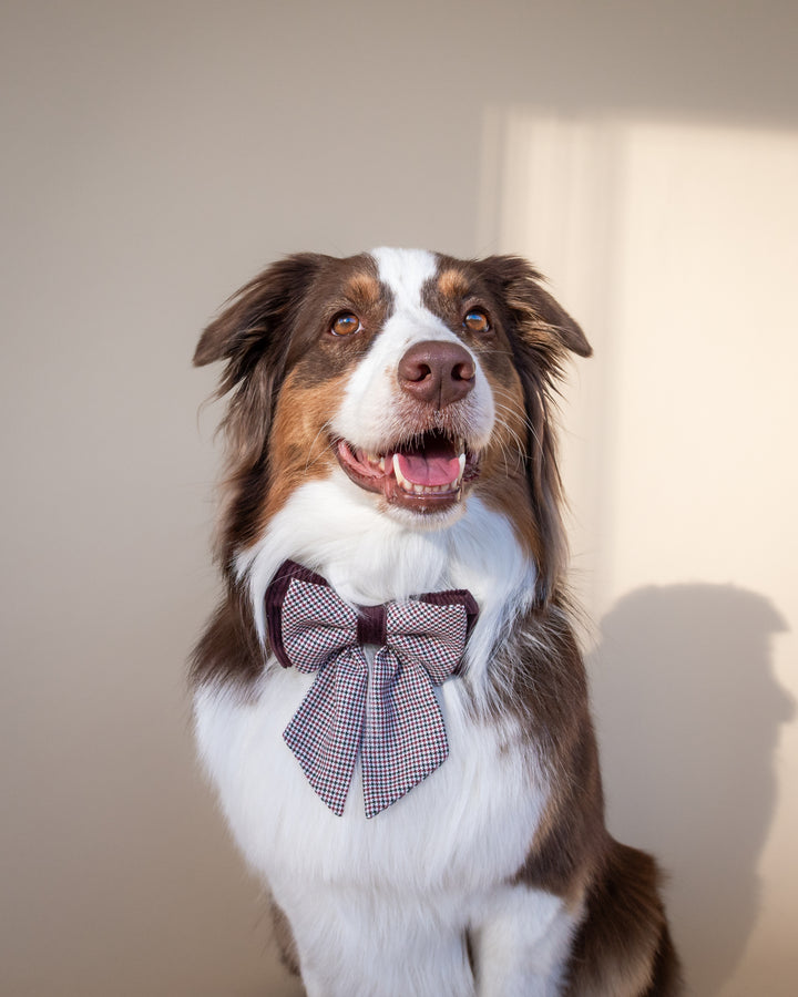 | Ribbon Bow | Bordeaux Houndstooth