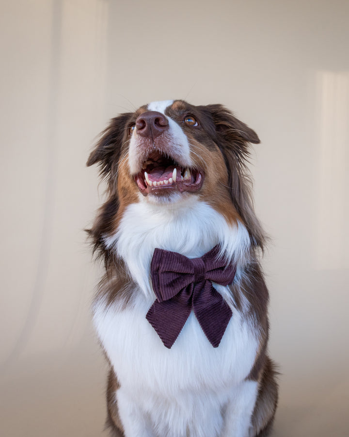 | Ribbon Bow | Mulberry Corduroy