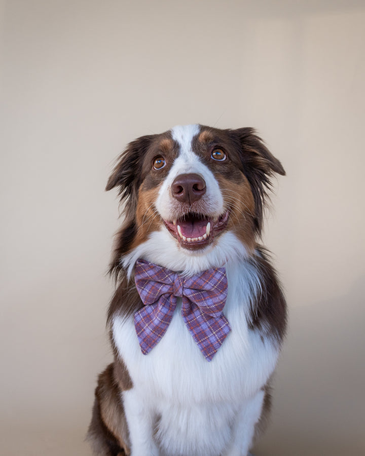 | Ribbon Bow | Lavender Tartan