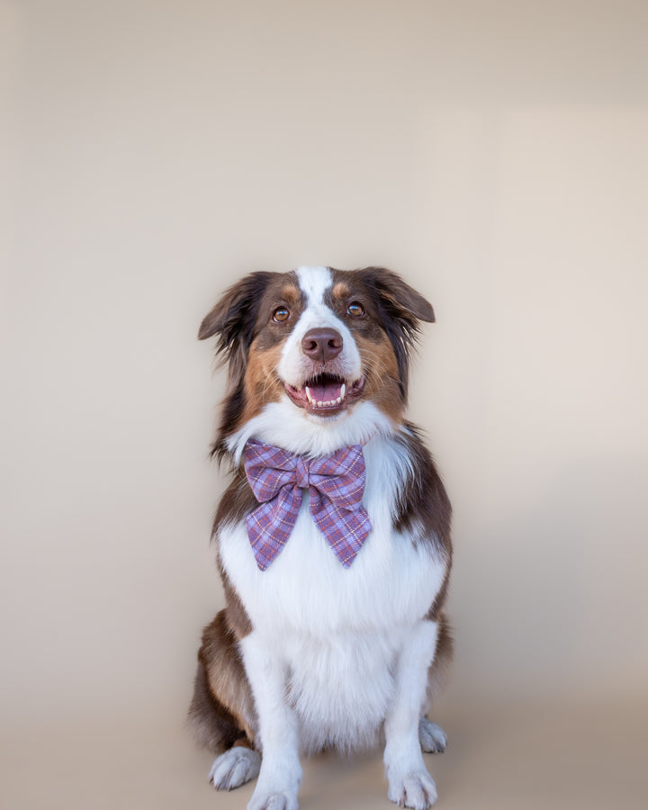 | Ribbon Bow | Lavender Tartan