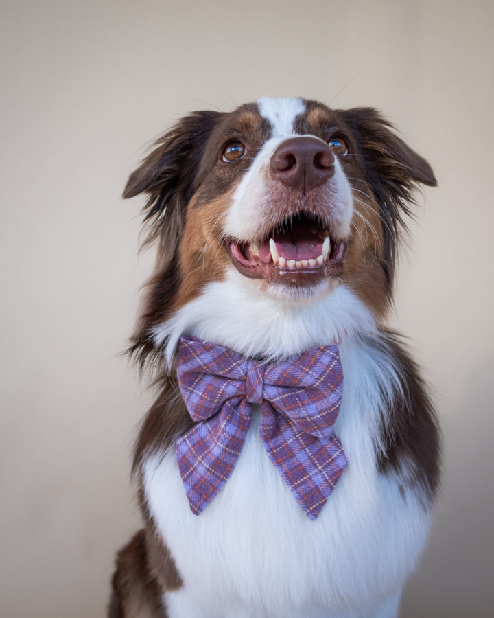 | Ribbon Bow | Lavender Tartan