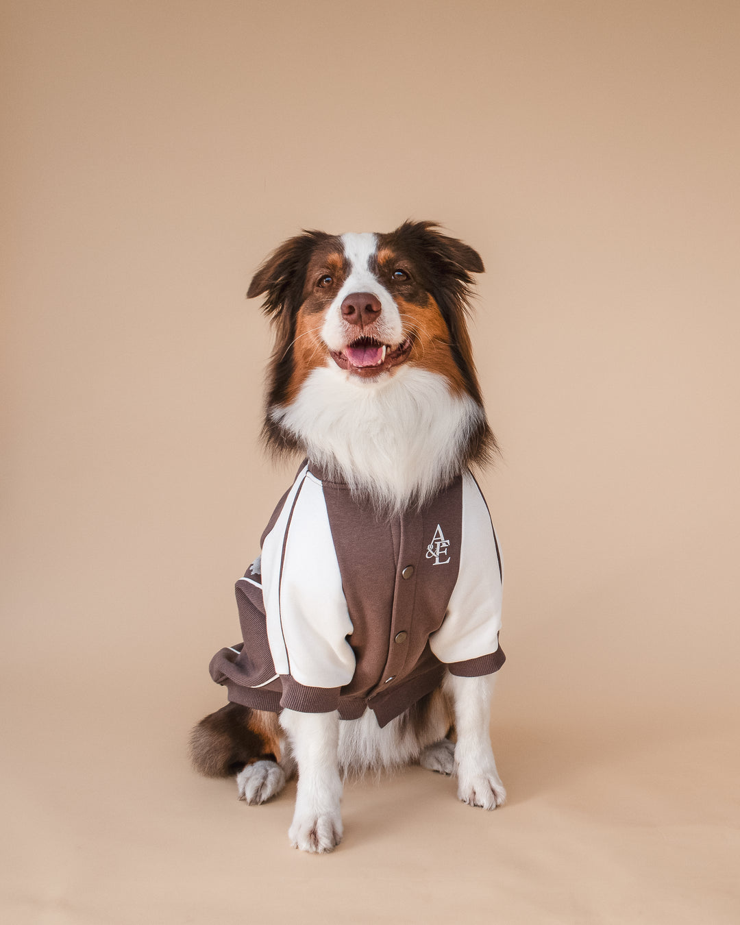 Bomber Jacket | Swallows