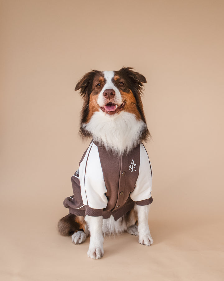 Bomber Jacket | Swallows