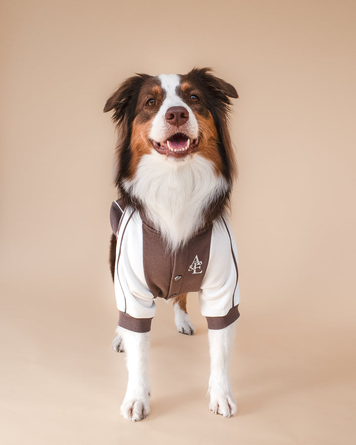 Bomber Jacket | Swallows