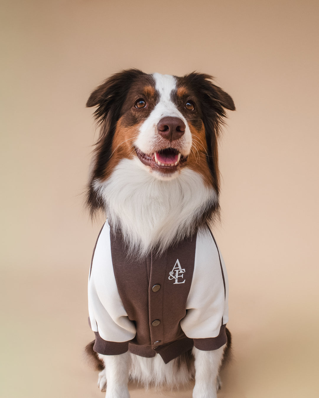 Bomber Jacket | Swallows