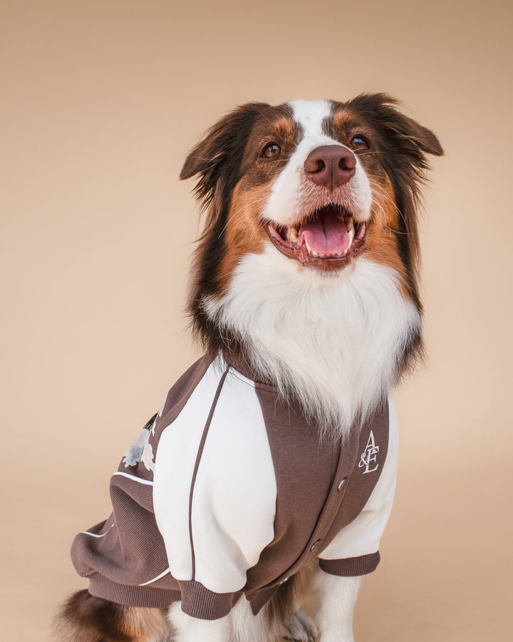 Bomber Jacket | Swallows