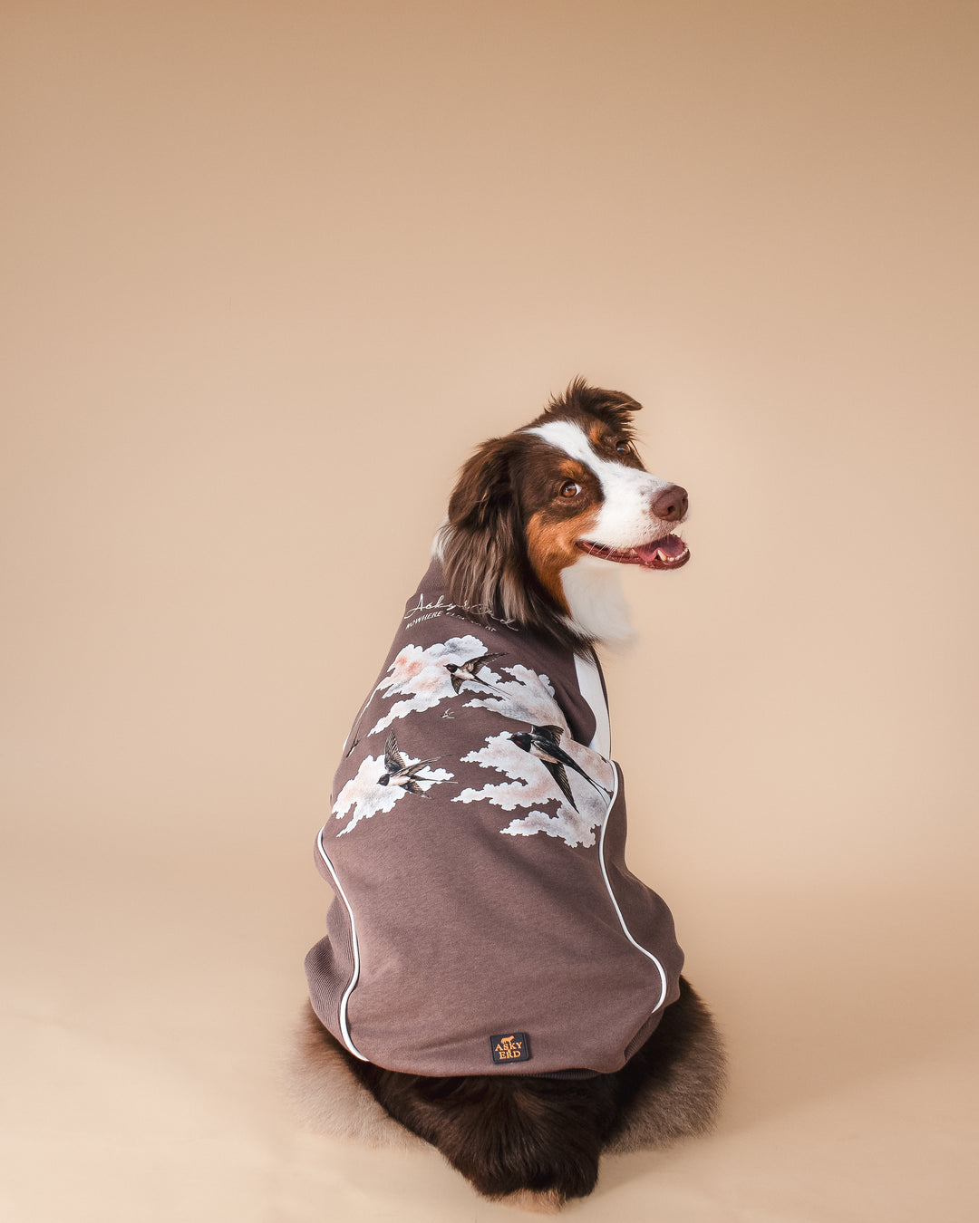 Bomber Jacket | Swallows