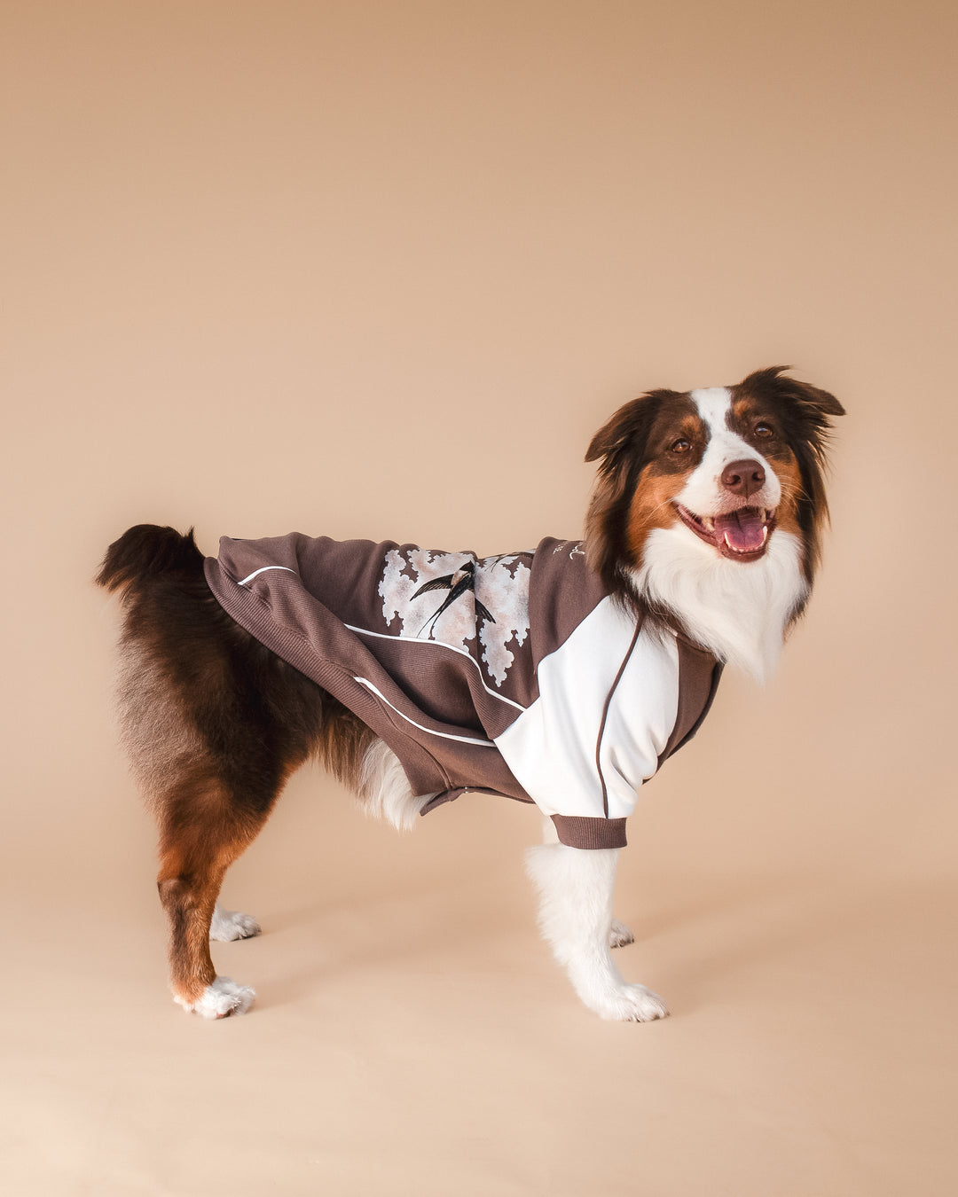 Bomber Jacket | Swallows