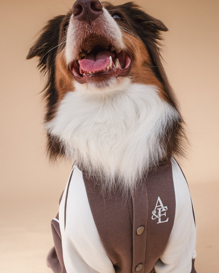 Bomber Jacket | Swallows