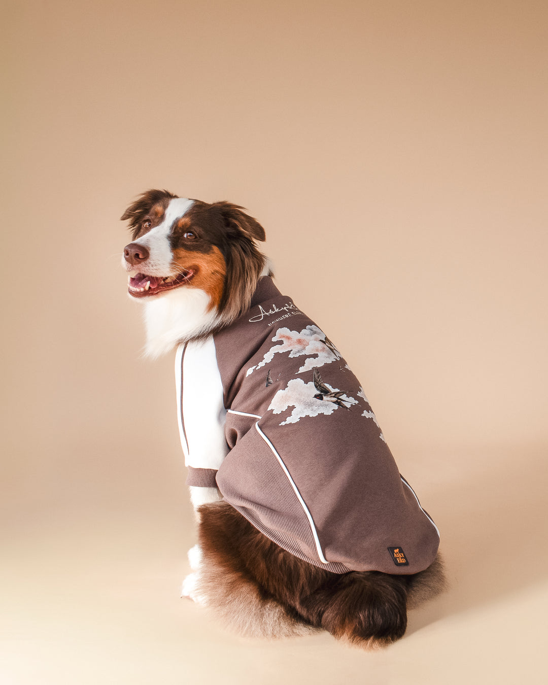 Bomber Jacket | Swallows