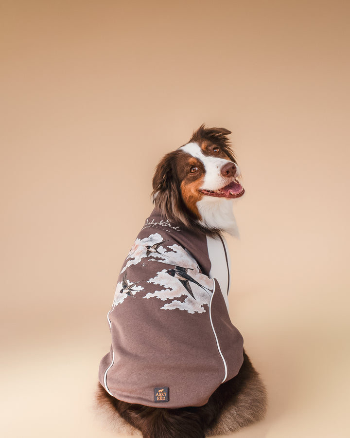 Bomber Jacket | Swallows