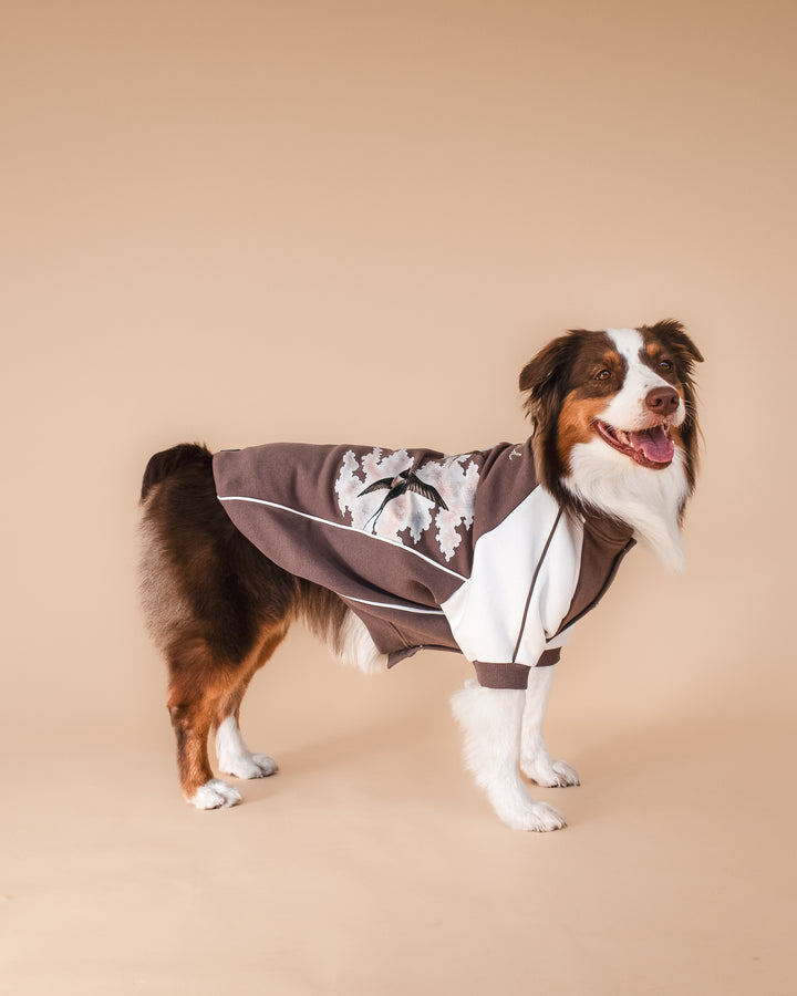 Bomber Jacket | Swallows