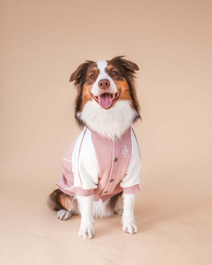 Bomber Jacket | Cherry Blossom