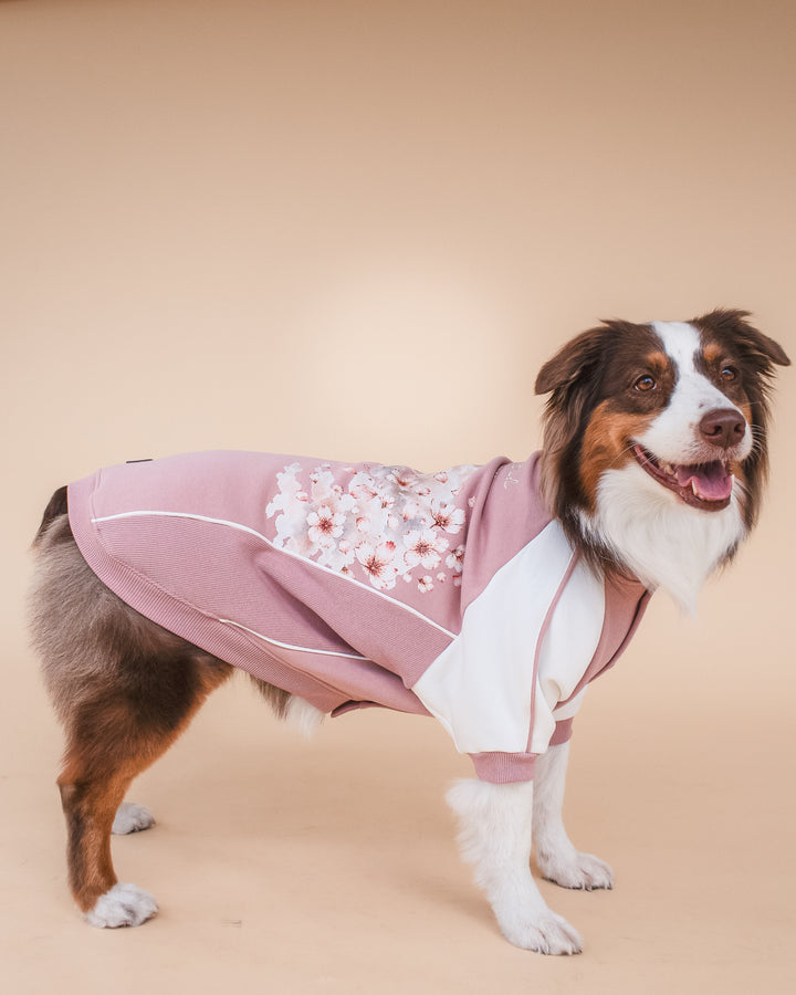 Bomber Jacket | Cherry Blossom