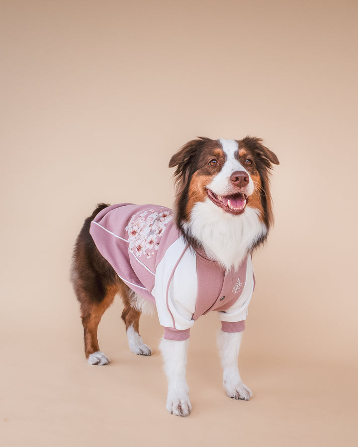 Bomber Jacket | Cherry Blossom