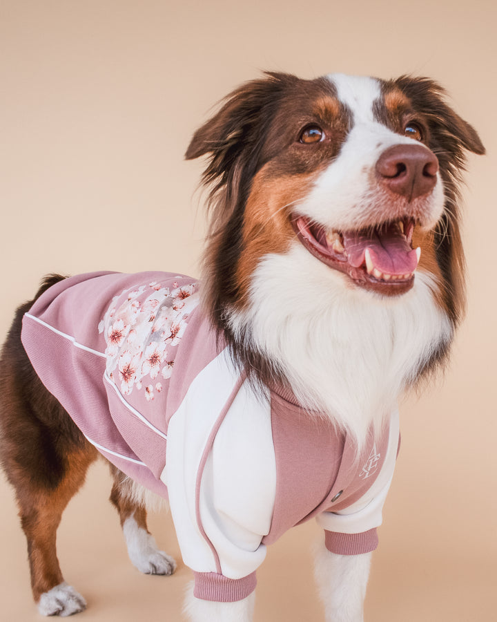 Bomber Jacket | Cherry Blossom