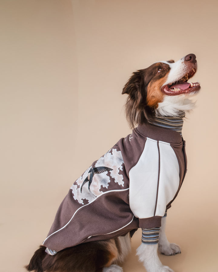 Bomber Jacket | Swallows