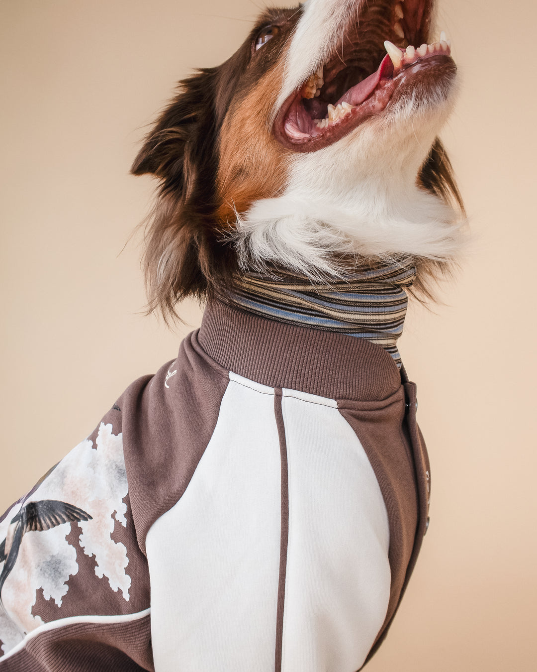 Bomber Jacket | Swallows