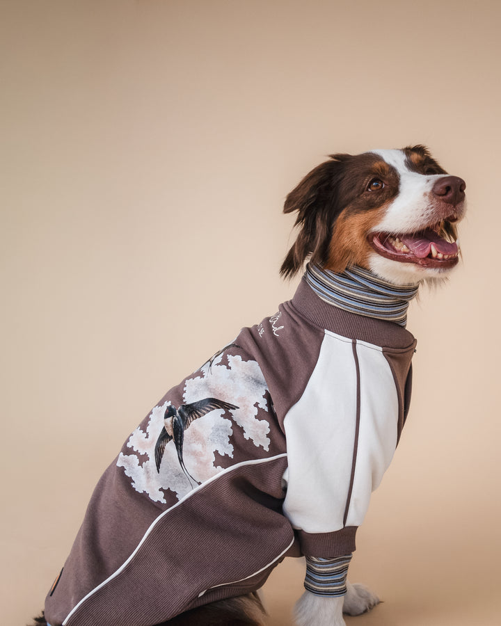 Bomber Jacket | Swallows