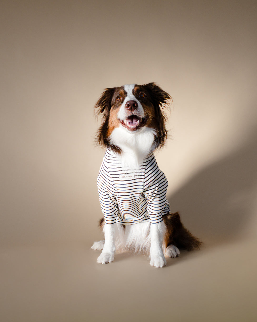 Turtleneck Tshirt | Classic Stripe