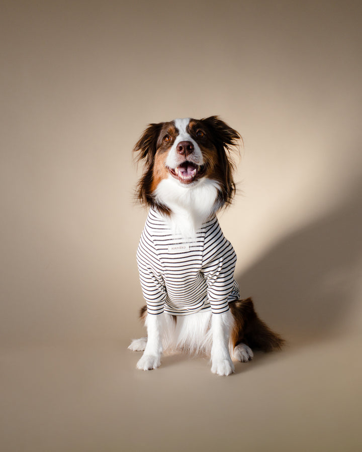 Turtleneck Tshirt | Classic Stripe