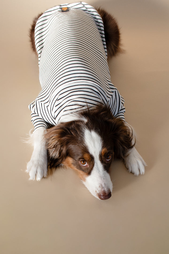 Turtleneck Tshirt | Classic Stripe