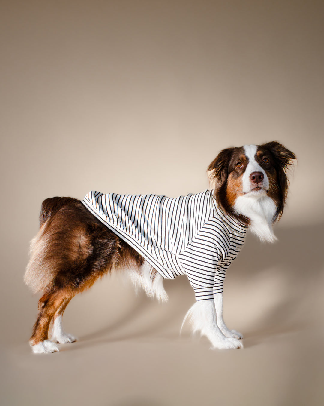 Turtleneck Tshirt | Classic Stripe