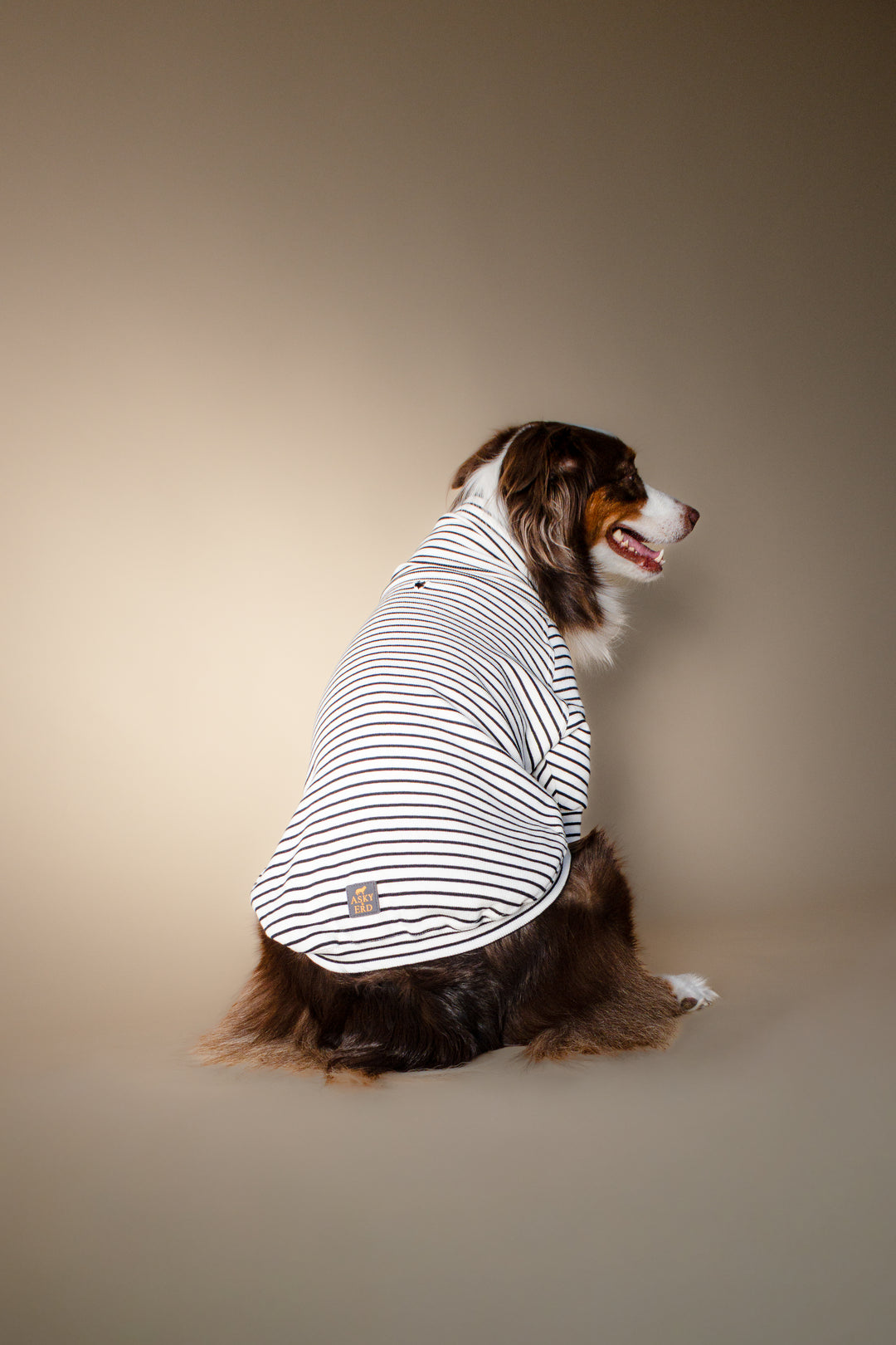 Turtleneck Tshirt | Classic Stripe