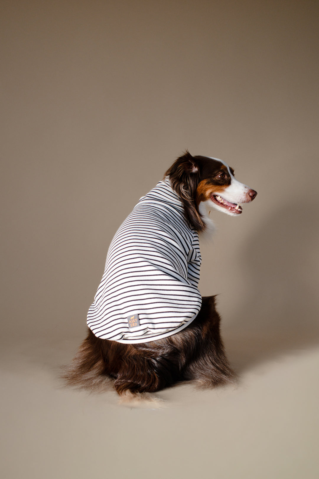 Turtleneck Tshirt | Classic Stripe