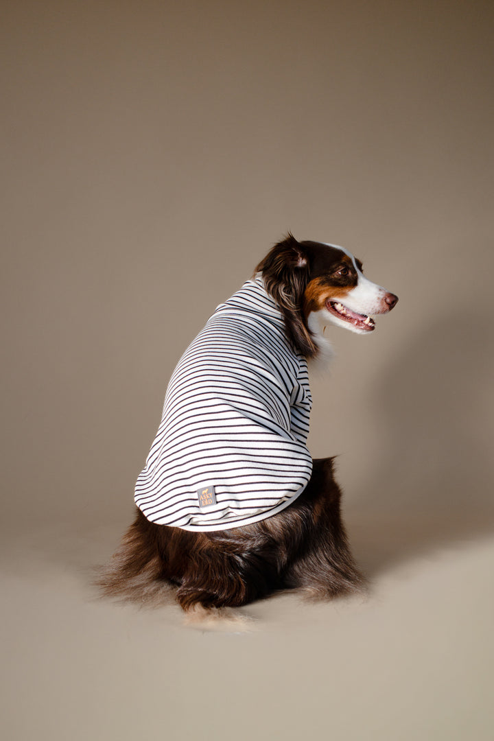 Turtleneck Tshirt | Classic Stripe