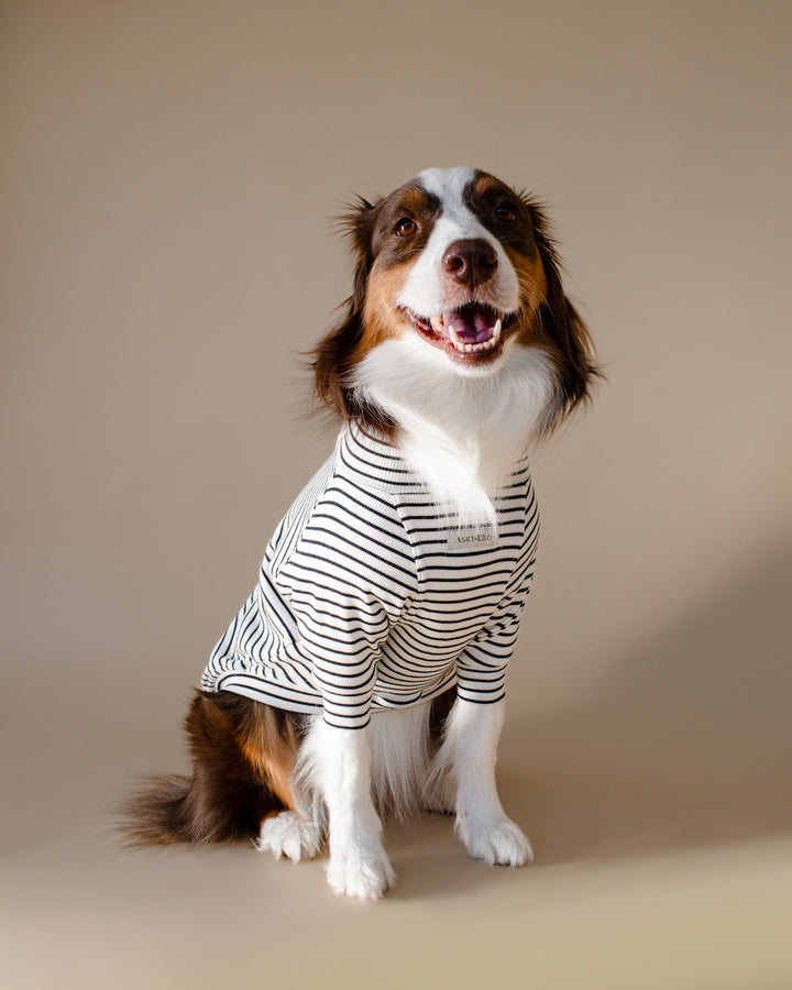 Turtleneck Tshirt | Classic Stripe