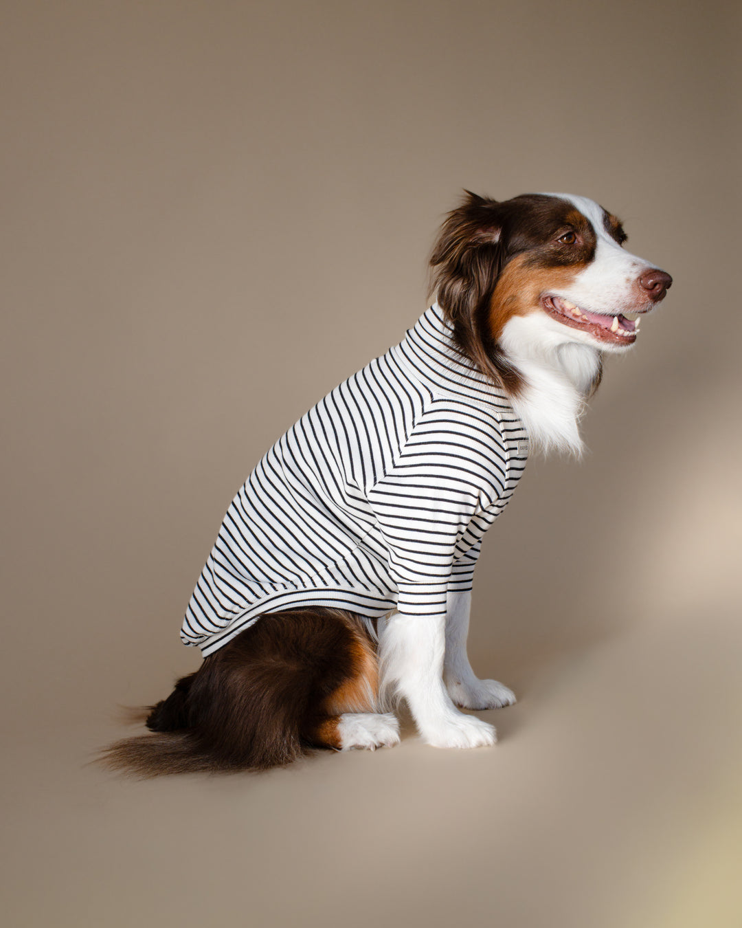 Turtleneck Tshirt | Classic Stripe