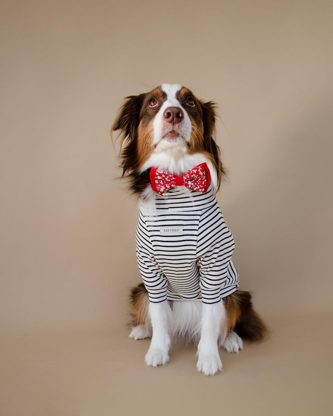 Turtleneck Tshirt | Classic Stripe