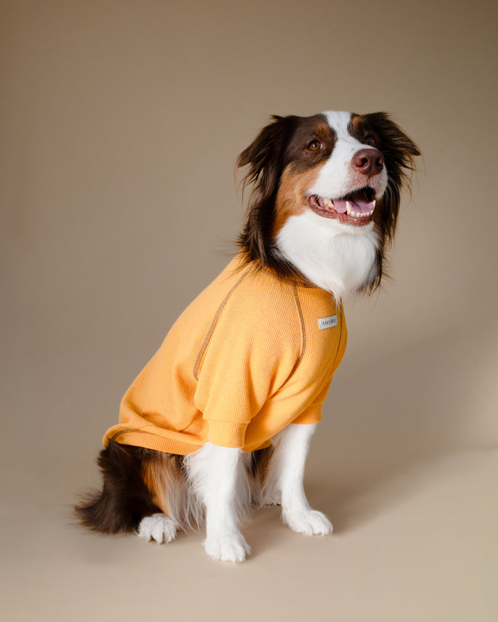Waffle Tshirt | Honey Glow